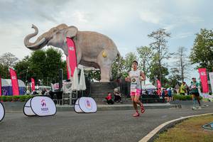 BIB: 
                            <button type="button" onclick="openModal(26528773)" class="btn btn-primary btn-sm float-right btn-popup" data-toggle="modal" data-target=".modal-high-quality">
                        <i class="fas fa-shopping-cart"></i> Add to Cart
                    </button>
                                            <button type="button" onclick="isThisMe(26528773, true)" class="btn btn-success btn-sm float-right btn-popup btn-isme hidden" data-toggle="tooltip" data-placement="bottom" title="นี่คือรูปของคุณใช่ไหม คลิกที่นี่เพื่อเอาเข้าอัลบั้ม">
                        <i class="fas fa-plus"></i> Add to album
                    </button>
                    <button type="button" onclick="isThisMe(26528773, false)" class="btn btn-warning btn-sm float-right btn-popup btn-isnotme hidden">
                        <i class="fas fa-ban"></i> Remove from album
                    </button>